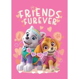 Mancs őrjárat polár takaró, ágytakaró - Friends Furever