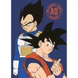 Dragon Ball Z polár takaró, ágytakaró 