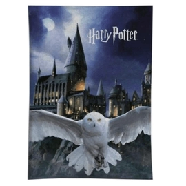 Harry Potter polár takaró, ágytakaró - Hedwig