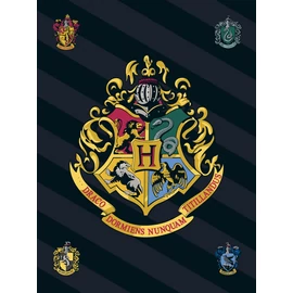 Harry Potter polár takaró, ágytakaró - Hogwarts