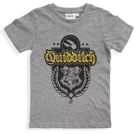 Harry Potter gyerek póló, felső 6 év / 116 cm - Quidditch Grey