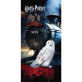 Harry Potter törölköző, fürdőlepedő - Roxfort Express és Hedwig