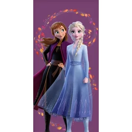 Jégvarázs törölköző, fürdőlepedő - Wind World