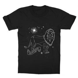 Fekete Harry Potter gyerek rövid ujjú póló - Gryffindor Constellation
