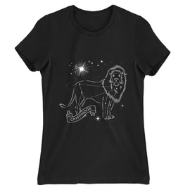 Fekete Harry Potter női rövid ujjú póló - Gryffindor Constellation