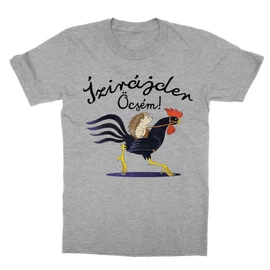 Sportszürke Magyar Népmesék gyerek rövid ujjú póló - Ízirájder öcsém