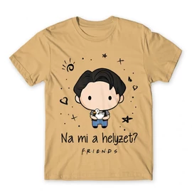 Homok Jóbarátok férfi rövid ujjú póló - Mi a helyzet? - Joey