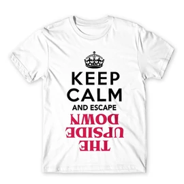 Stranger Things férfi rövid ujjú póló - Keep Calm Upside Down