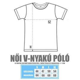 Sportszürke Star Wars női V-nyakú póló - Rohamosztagos és a lépegető