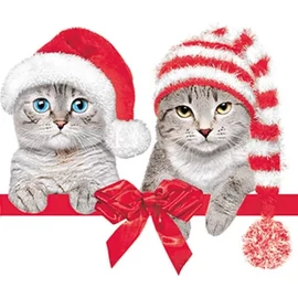 Cicás szalvéta 20 db-os 33x33 cm - Christmas Hats