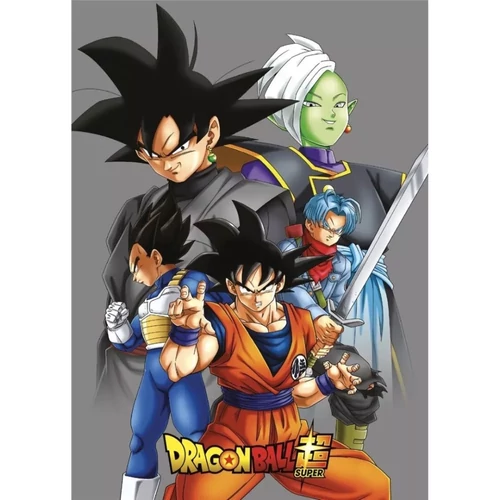 Dragon Ball Super polár takaró, ágytakaró - Karakterek