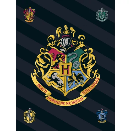 Harry Potter polár takaró, ágytakaró - Hogwarts  