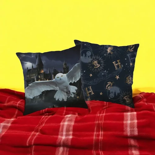 Harry Potter párna, díszpárna 40x40 cm - Hedvig
