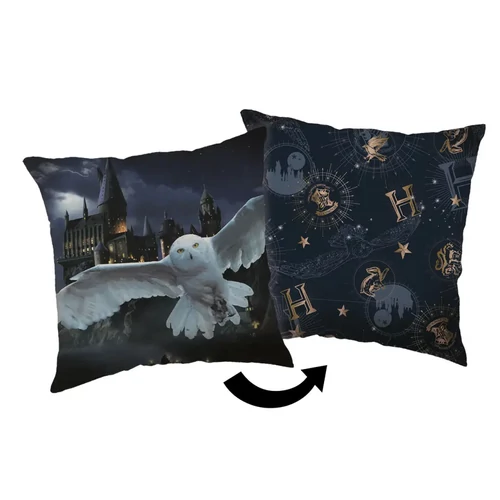 Harry Potter párna, díszpárna 40x40 cm - Hedvig