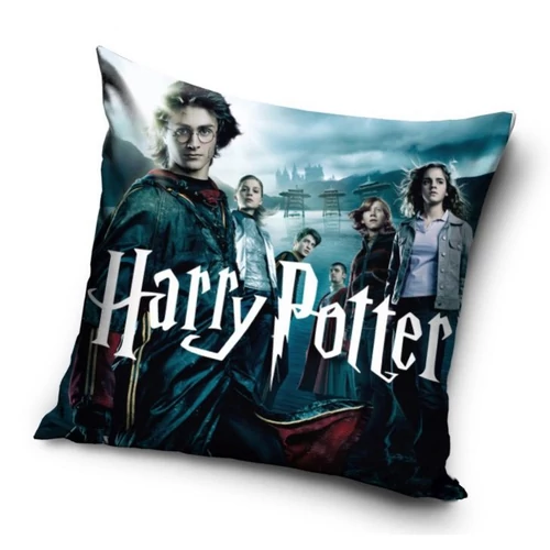 Harry Potter párnahuzat -  Wizard students