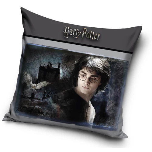 Harry Potter párna, díszpárna - Harry Potter és Hedwig