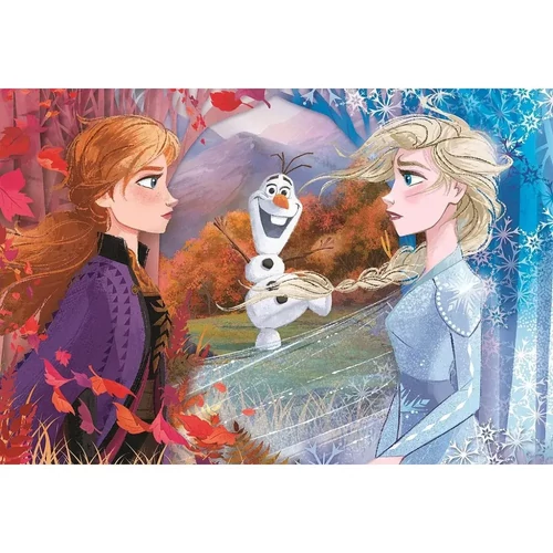 Disney Jégvarázs maxi puzzle 60 db-os - Contrasts