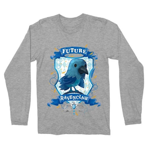 Sportszürke Harry Potter férfi hosszú ujjú póló - Future Ravenclaw