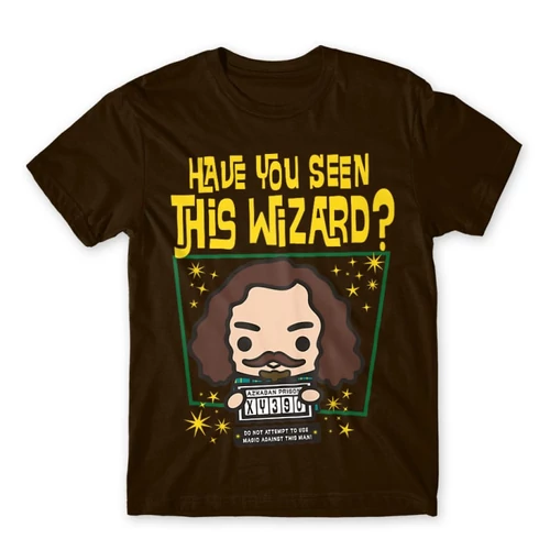 Barna Harry Potter férfi rövid ujjú póló - Have you seen this wizard?