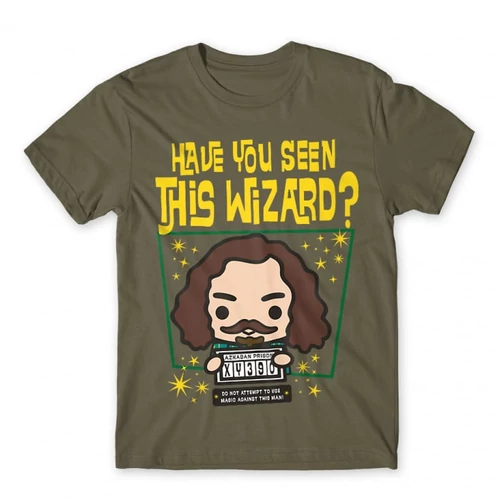 Cink Harry Potter férfi rövid ujjú póló - Have you seen this wizard?