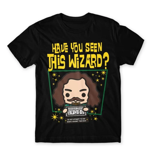 Fekete Harry Potter férfi rövid ujjú póló - Have you seen this wizard?