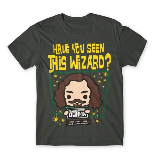 Sötétszürke Harry Potter férfi rövid ujjú póló - Have you seen this wizard?