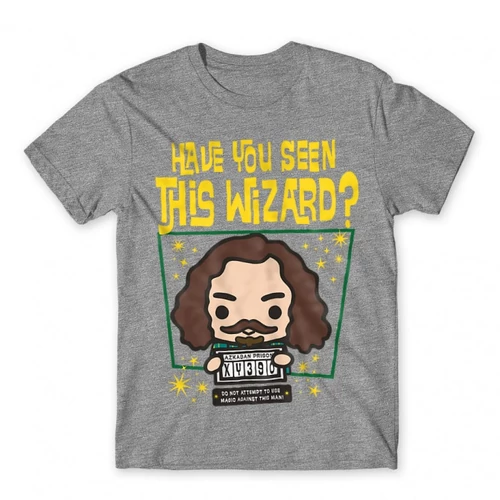 Sportszürke Harry Potter férfi rövid ujjú póló - Have you seen this wizard?
