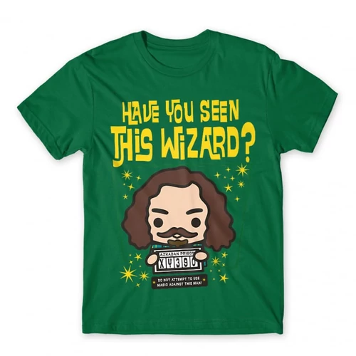 Zöld Harry Potter férfi rövid ujjú póló - Have you seen this wizard?