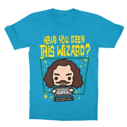 Atollkék Harry Potter gyerek rövid ujjú póló - Have you seen this wizard?