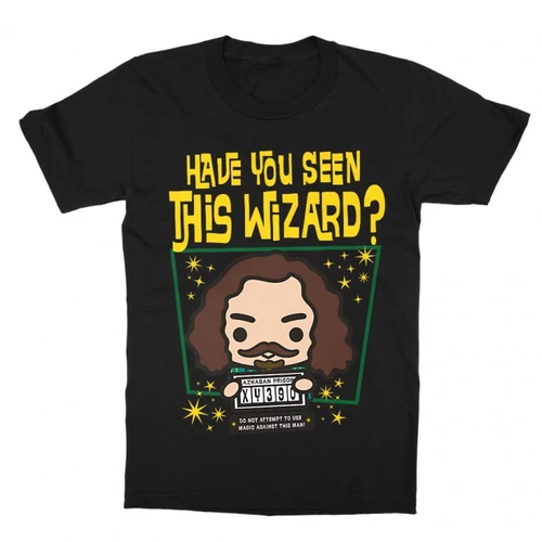 Fekete Harry Potter gyerek rövid ujjú póló - Have you seen this wizard?