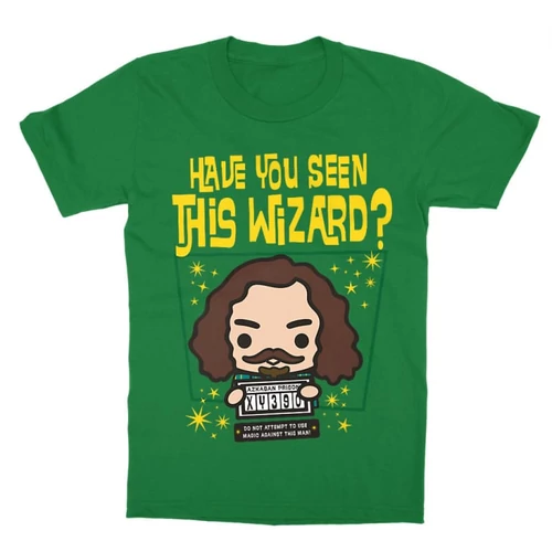 Zöld Harry Potter gyerek rövid ujjú póló - Have you seen this wizard?