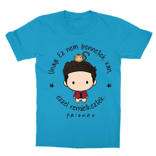 Atollkék Jóbarátok gyerek rövid ujjú póló - Unagi - Ross