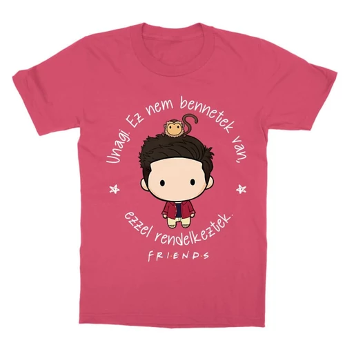 Pink Jóbarátok gyerek rövid ujjú póló - Unagi - Ross