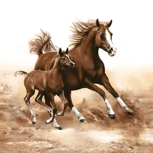 Lovas szalvéta 20 db-os 33x33 cm - Mare with Foal
