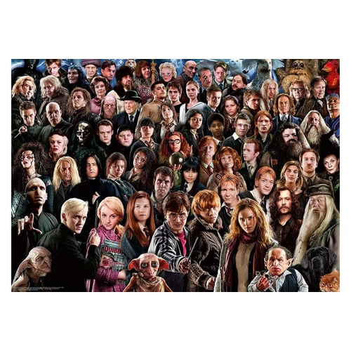 Harry Potter puzzle - 1000 db-os - Challenge