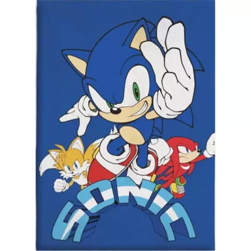 Sonic, a sündisznó polár takaró, ágytakaró - Coin Chase