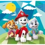 Mancs őrjárat puzzle 3x48 db-os - Beach