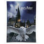 Kép 1/3 - Harry Potter polár takaró, ágytakaró - Hedwig