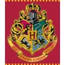 Harry Potter polár takaró, ágytakaró - Red
