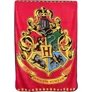 Harry Potter polár takaró, ágytakaró - Red
