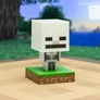 Minecraft 3D ikon hangulatvilágítás - Skeleton