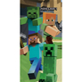 Kép 1/2 - Minecraft törölköző, fürdőlepedő - Characters 