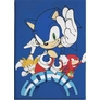 Kép 1/3 - Sonic, a sündisznó polár takaró, ágytakaró - Coin Chase