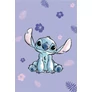Disney Lilo és Stitch, A csillagkutya mikroflanel takaró 100x150cm - Blooming