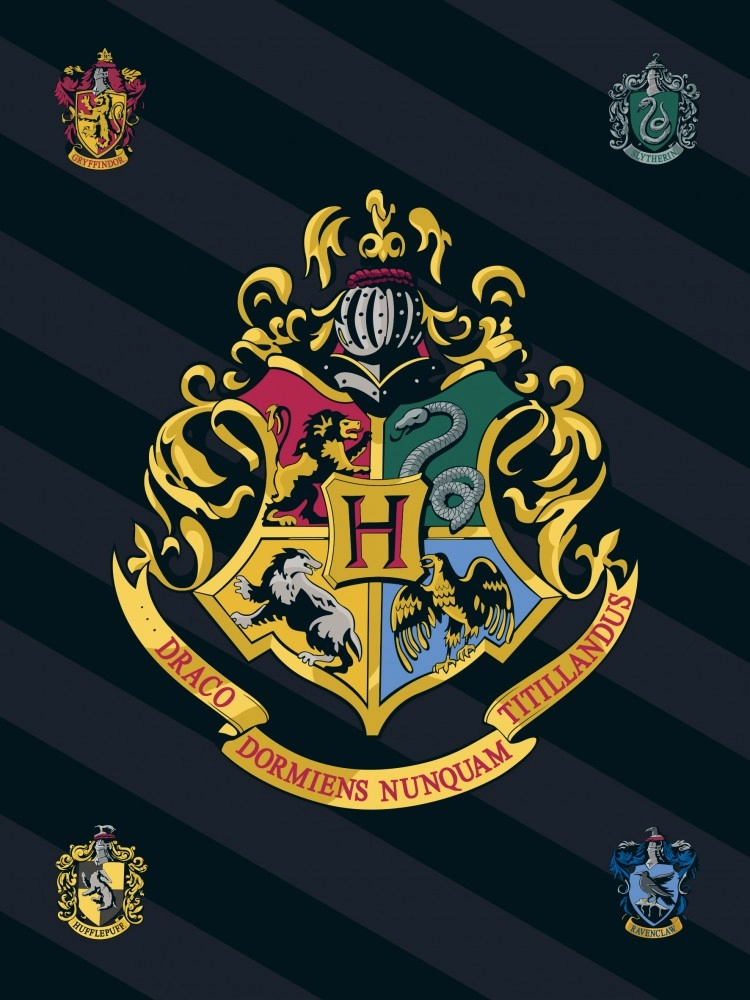 Harry Potter polár takaró, ágytakaró - Hogwarts